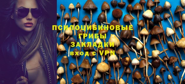 трава Балахна
