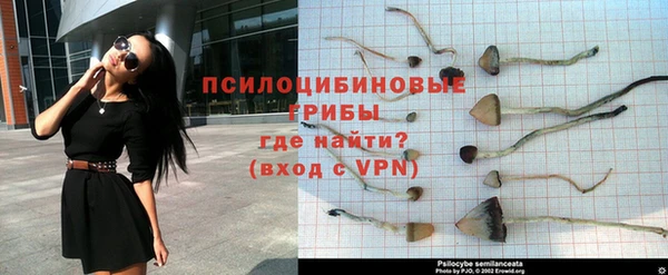 гашиш Аркадак