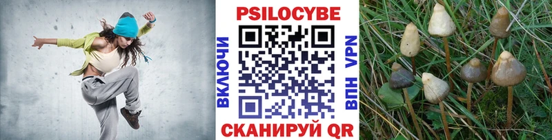 Галлюциногенные грибы GOLDEN TEACHER  Купить где  Сурск 